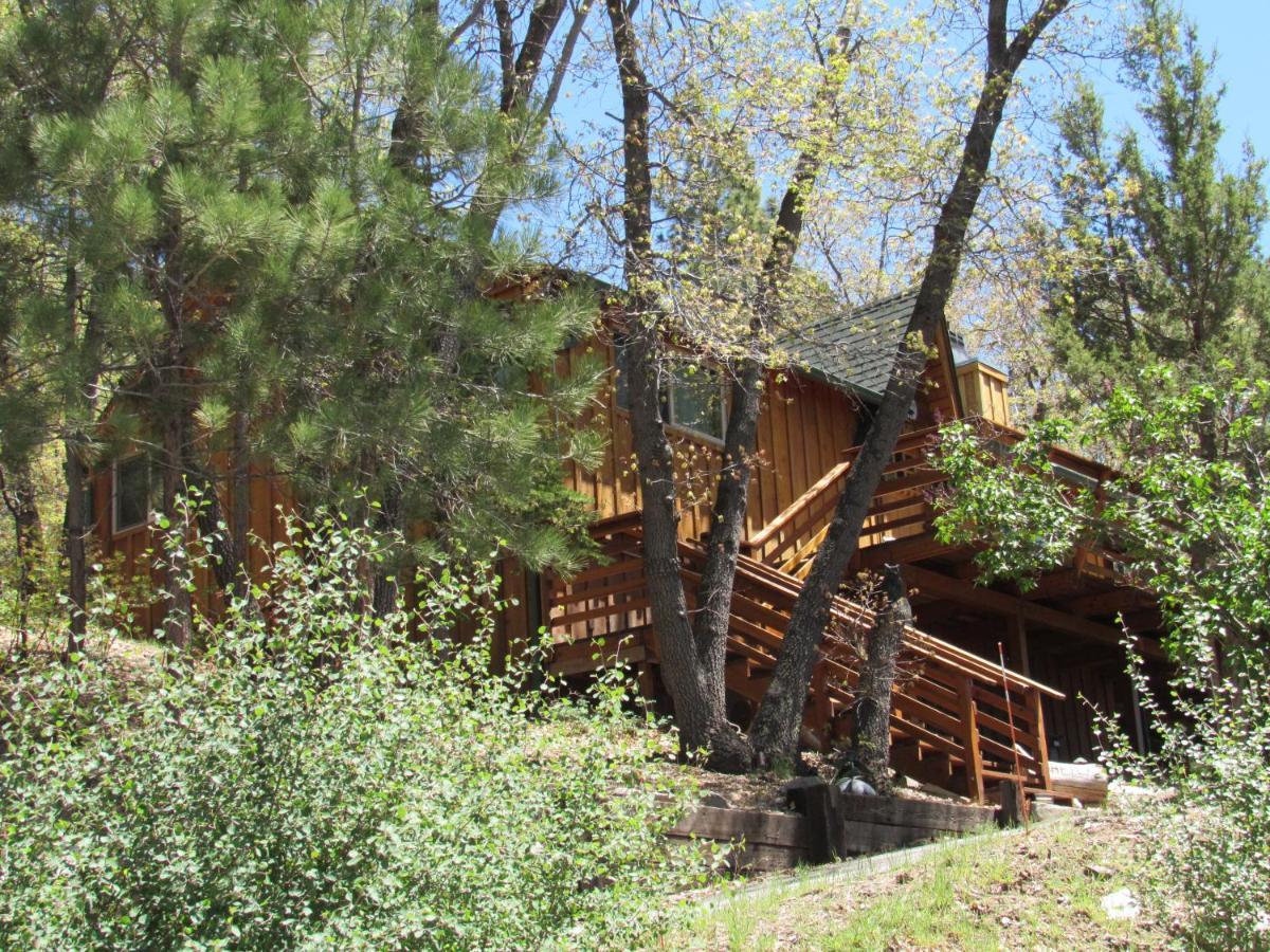 Hillside Hideaway -View Of Ski Slope From Charming Deck Big Bear Lake Exterior foto